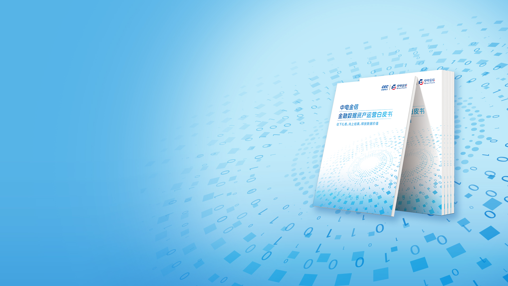 往下扎根，向上结果，释放数据价值
中电金信金融数据资产运营白皮书